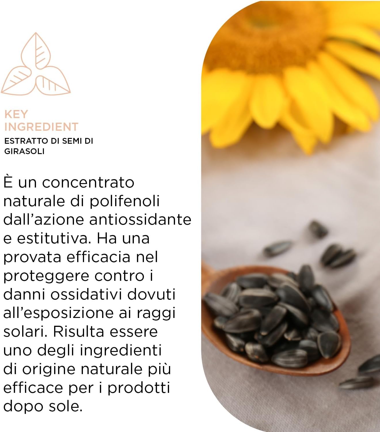 Kemon Bahia Spray idratante senza risciacquo districante e idratante - 200 ml