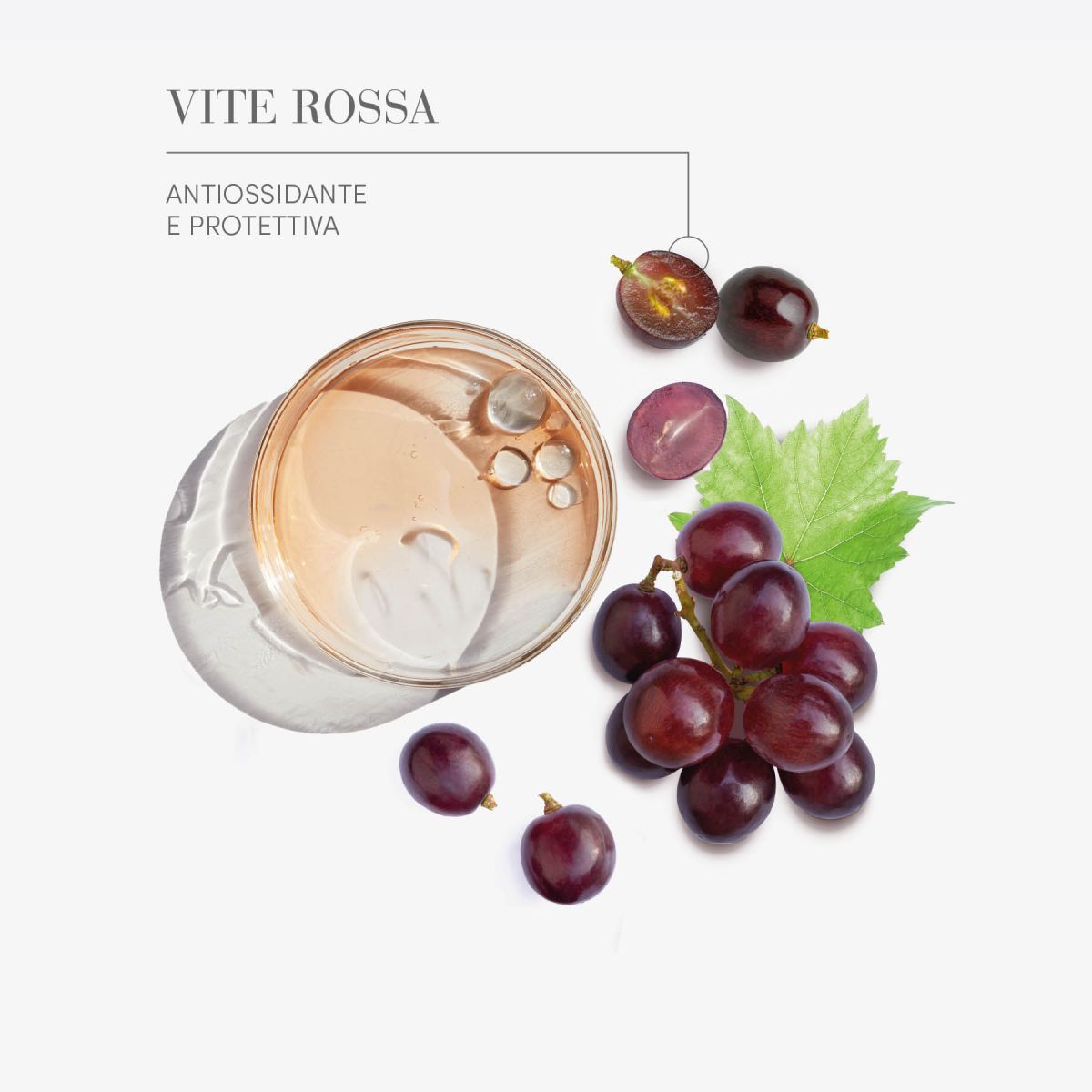 Medavita Shampoo elasticizzante per capelli ricci e mossi 250ml