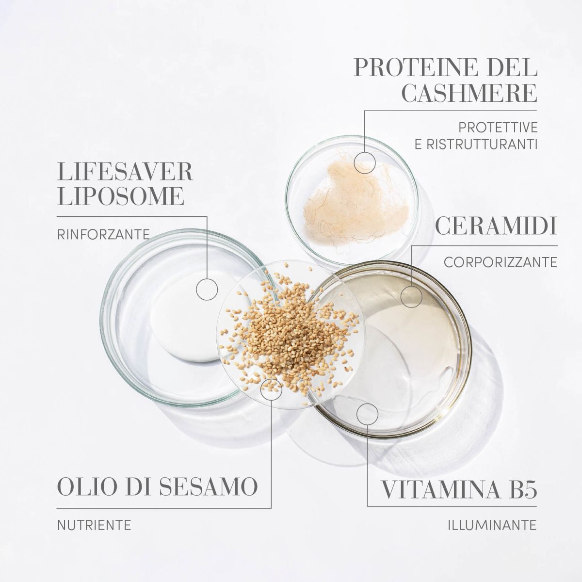 Medavita PRODIGE Shampoo rigenerante 250ml